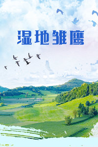 湿地雏鹰(全集)