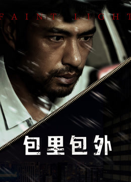 包里包外(全集)