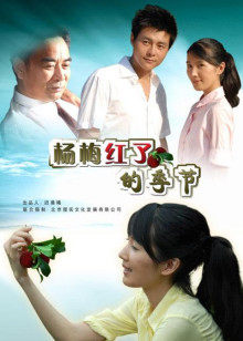 杨梅红了的季节(全集)