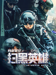 扫黑英雄(全集)