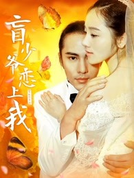 盲少爷恋上我(全集)