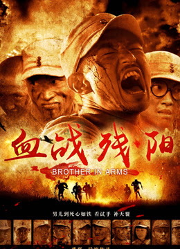 血战残阳(全集)